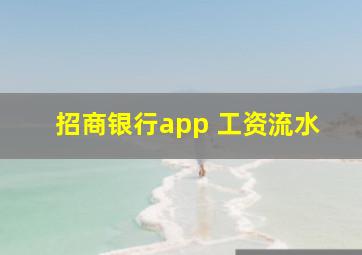 招商银行app 工资流水